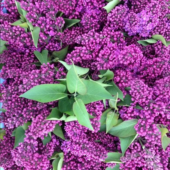 About me - Picture 1 of 1